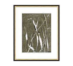 Whistling Grasses Framed Print