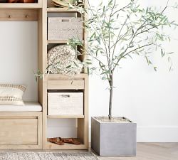Open Box: Faux Olive Trees