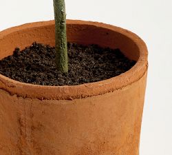 Faux Terracotta Potted Olive Tree