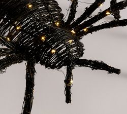 Lit Woven Spider