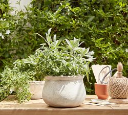 Artisan Handcrafted Cachepots