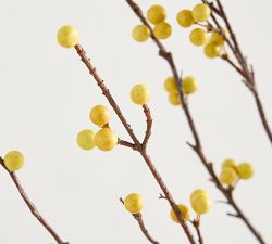 Faux Turning Berry Branch