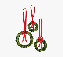 Preserved Boxwood Holiday Wreaths - Set of 3