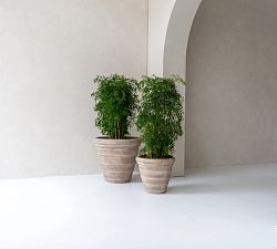 Eclectic Mariana Planters