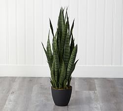 Sansevieria Faux Plant