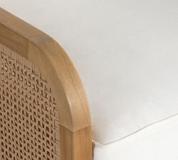 Dolores Teak Outdoor Lounge Chair