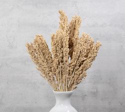 Dried Sorghum Grass - Set of 3