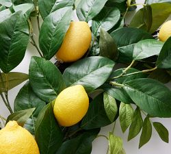 Monique Lhuillier Faux Lemon Wreath &amp; Garland