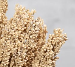 Dried Sorghum Grass - Set of 3