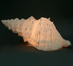 Decorative Lit Frosted Glass Sea Shell