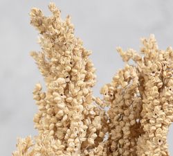 Dried Sorghum Grass - Set of 3