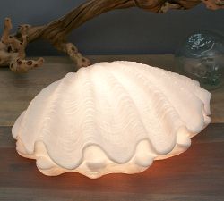 Open Box: Decorative Lit Frosted Glass Clam