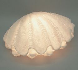 Open Box: Decorative Lit Frosted Glass Clam