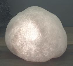 Decorative Lit Frosted Glass Coral