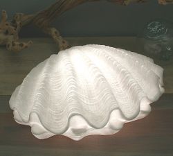 Open Box: Decorative Lit Frosted Glass Clam