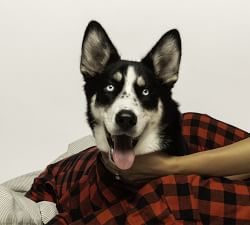 Matching Plaid Pet &amp; Adult Pajamas