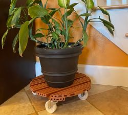Plant Caddy On Wheels