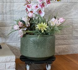 Plant Caddy On Wheels