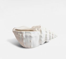 Conch Shell Serving Bowl