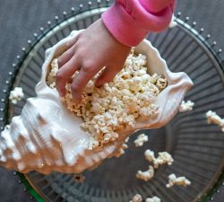 Conch Shell Serving Bowl