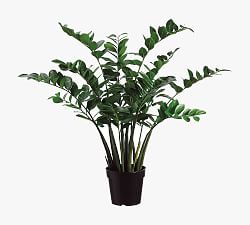 Faux Wide ZZ Plant in Plastic Pot, 3'