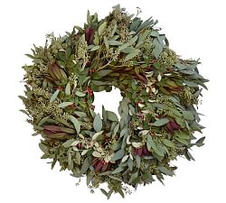 Fresh Eucalyptus, Leucadendron, & Cotoneater Wreath, 20"