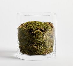 Moss Vase Filler
