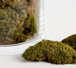 Moss Vase Filler