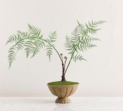 Faux Composed Fern