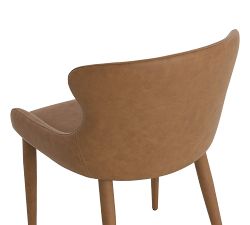 Paysen Faux Leather Dining Chair - Set of 2