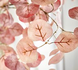 Faux Dry Eucalyptus Branch