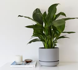 Modern Gray Ceramic Planters
