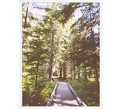 The Path Through By Eric Muhr