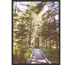 The Path Through By Eric Muhr