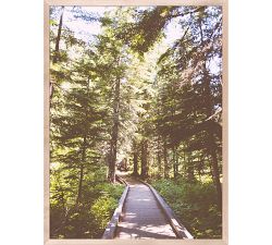 The Path Through By Eric Muhr