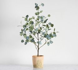 Faux Silver Dollar Eucalyptus Mini Tree