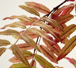 Faux Sumac Branch