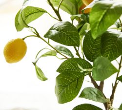 Monique Lhuillier Faux Lemon Tree