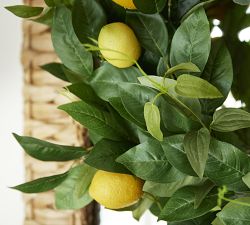 Monique Lhuillier Faux Lemon Wreath &amp; Garland