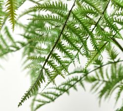 Faux Oversized Potted Fern