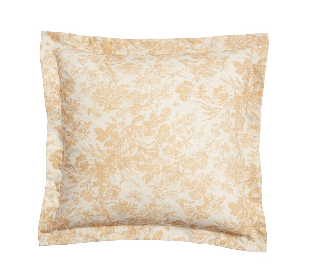 Sorrel Toile Sham, Euro - Set of 2