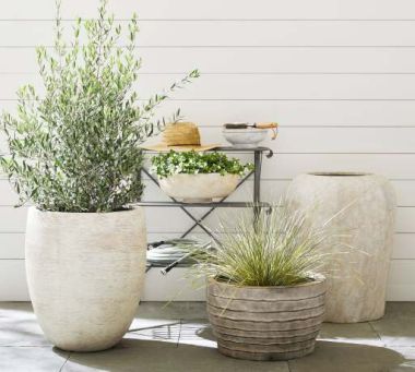 Pots &amp; Planters