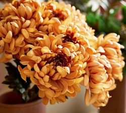 Faux Rust Mum Bundle