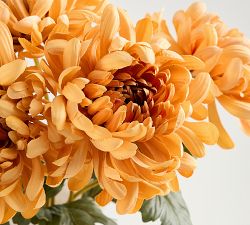 Faux Rust Mum Bundle