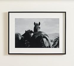 Spirit of the West by Meg Haywood Sullivan