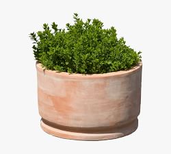 Jaylah Round Terracotta Planters