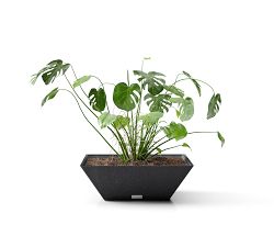 All Weather Eco Hevea Prism Bowl Outdoor Planters