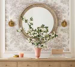 Aarya Carved Mirror Collection