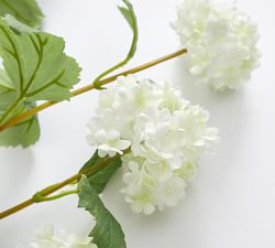 Faux White Viburnum Branch