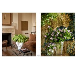 Living with Flowers by Aerin Lauder